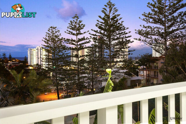 49 Garrick Street COOLANGATTA QLD 4225