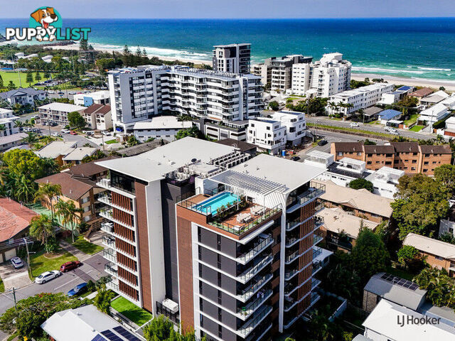 405/14-18 Twenty Eighth Avenue PALM BEACH QLD 4221