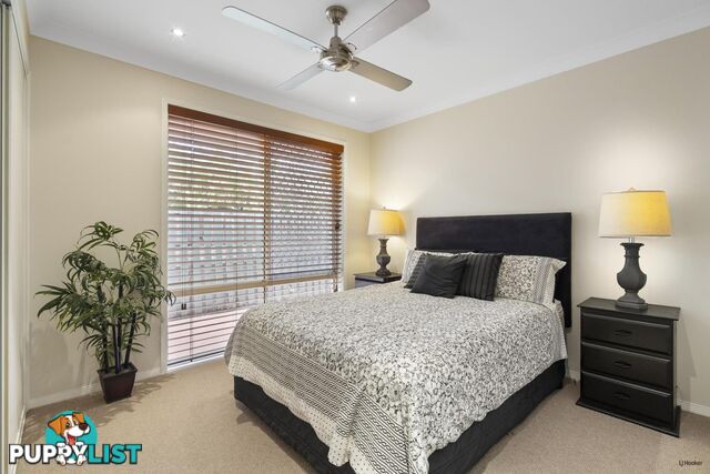 21 Ottelia Drive ELANORA QLD 4221