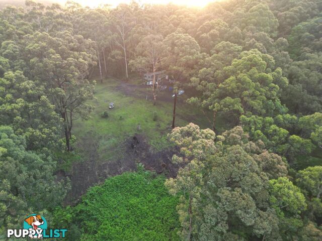 1806 Gold Coast Springbrook Road SPRINGBROOK QLD 4213