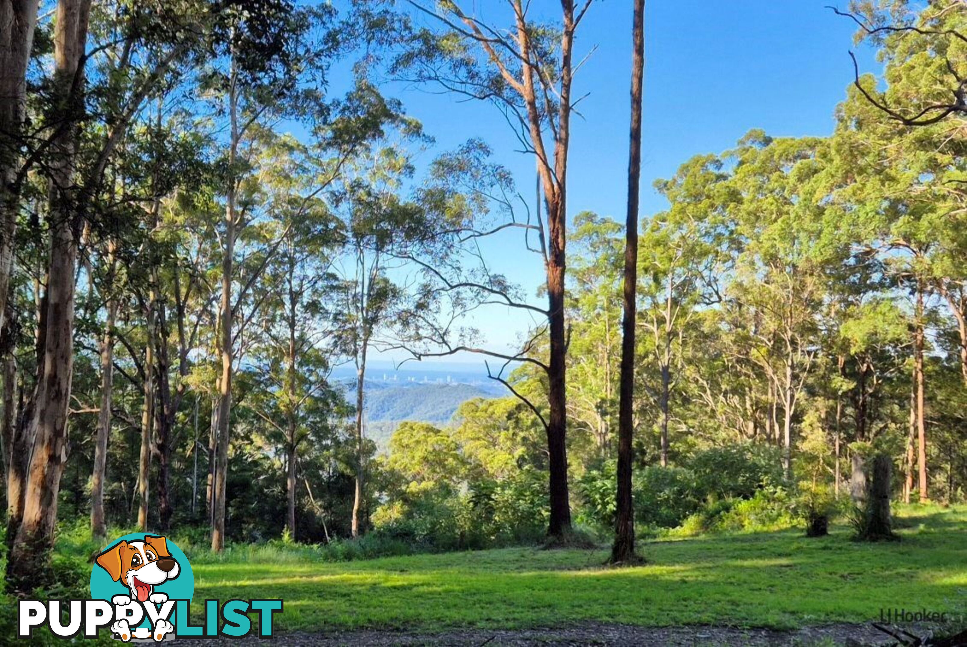 1806 Gold Coast Springbrook Road SPRINGBROOK QLD 4213