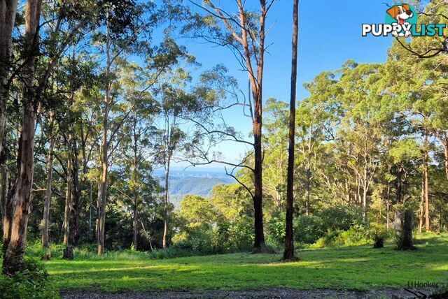 1806 Gold Coast Springbrook Road SPRINGBROOK QLD 4213