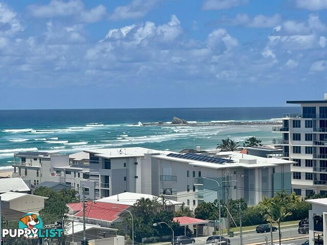 1402/10 Fifth Avenue PALM BEACH QLD 4221