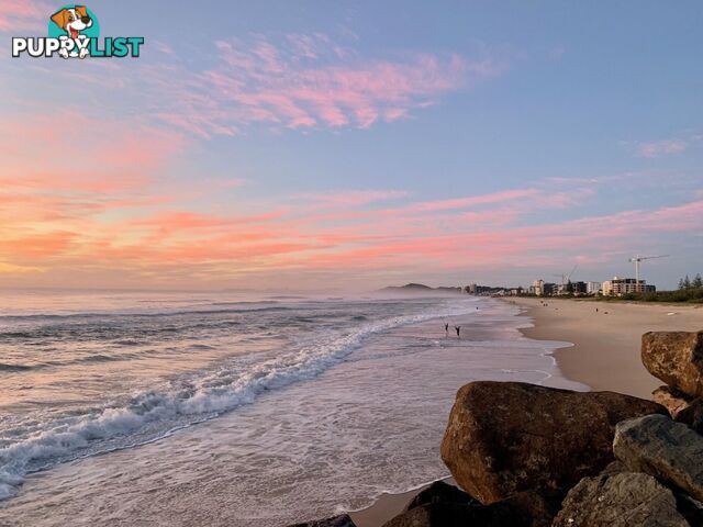 1205/4 Seventeenth Avenue PALM BEACH QLD 4221