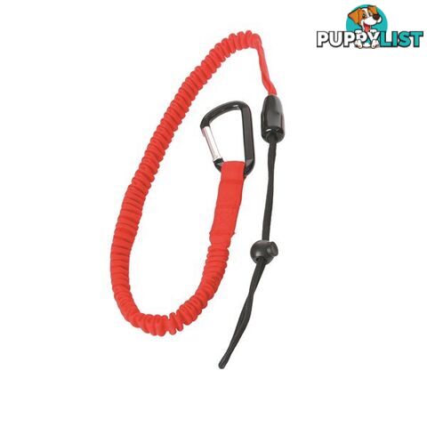 Security Spring Hook  - 10kg SKU - 301908