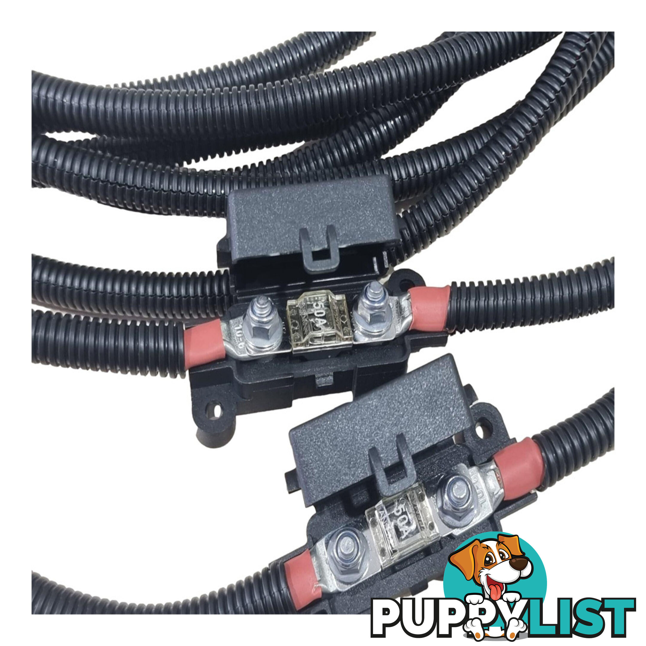 Dual 50 amp Anderson Plugs to Battery Lugs Fused SKU - BB-10294