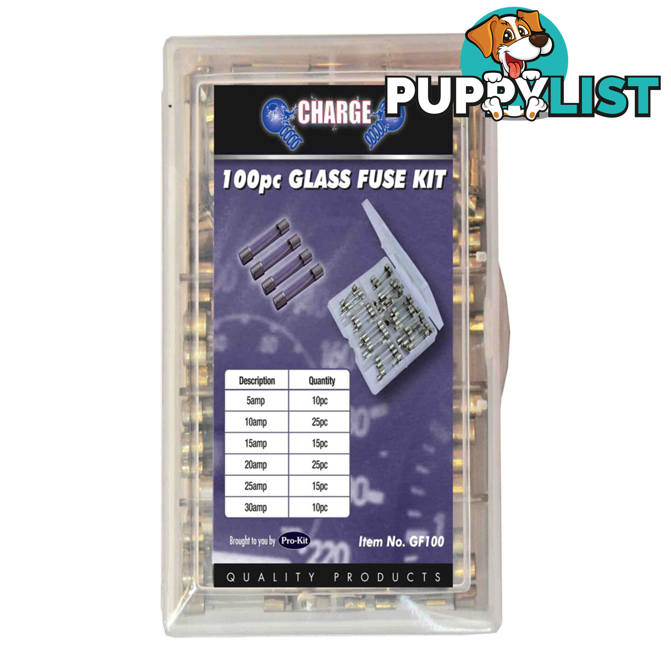 Charge 100pc Glass Fuse Kit 5  - 30 amp SKU - GF100