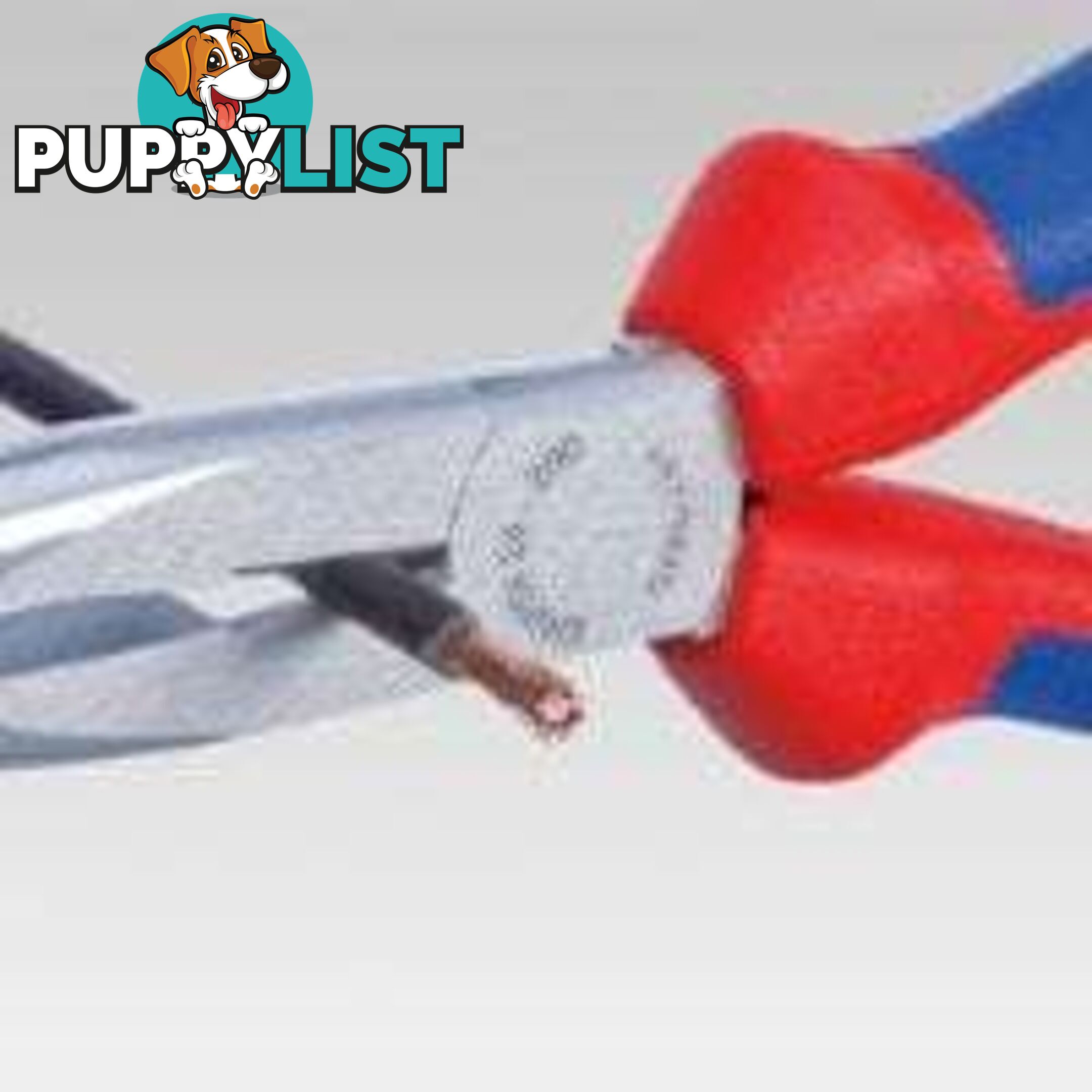 Knipex 200mm Long Nose Side Cutting Pliers SKU - 2611200