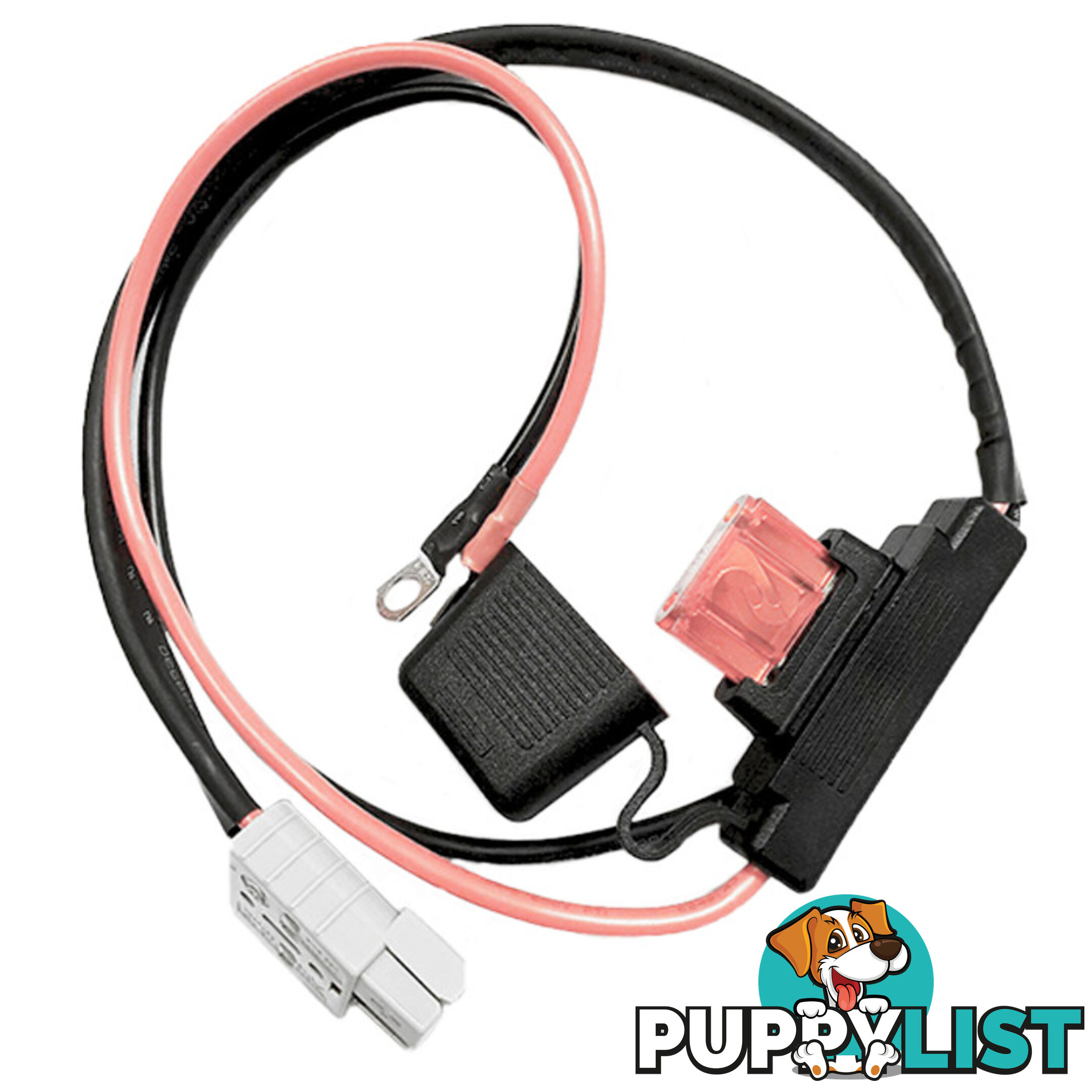 50a Power Lead with 50a Maxi Fuse 10awg Cable 500mm SKU - DC-13821