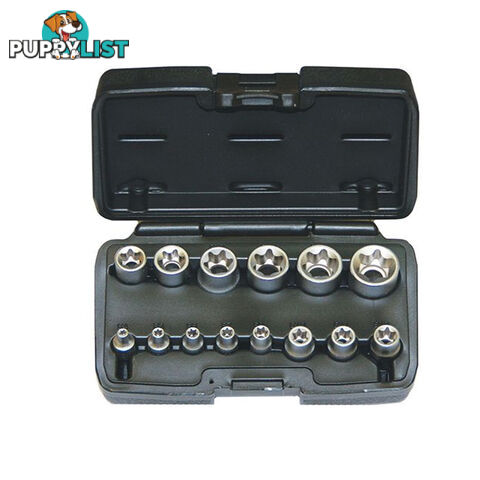 Torx Socket Set 14pc 1/4 ", 3/8 ", 1/2 "dr Sizes E4  - E24 Chrome Vandium Carry Case SKU - RG7589