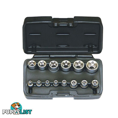 Torx Socket Set 14pc 1/4 ", 3/8 ", 1/2 "dr Sizes E4  - E24 Chrome Vandium Carry Case SKU - RG7589