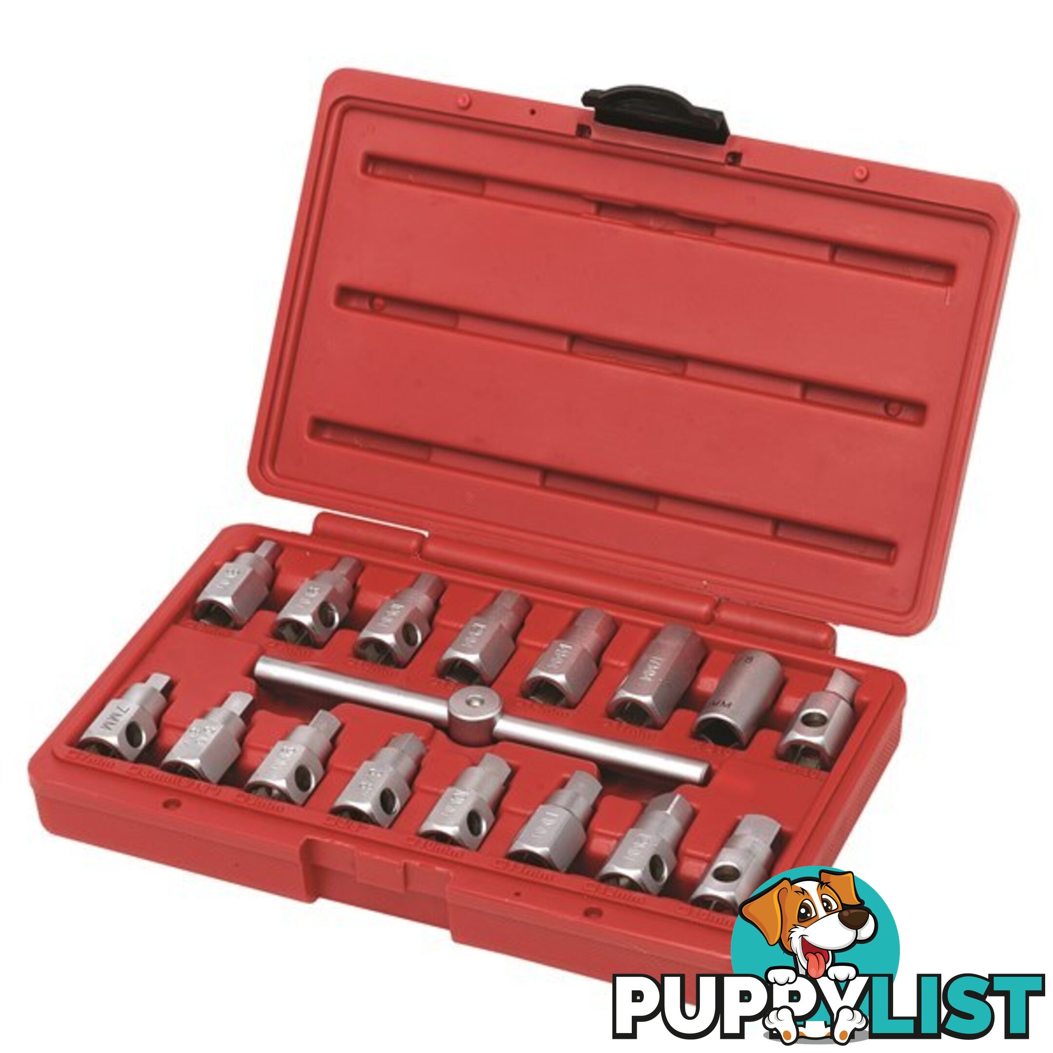 Toledo Oil Drain Plug Remover 17 pc Set SKU - 305003