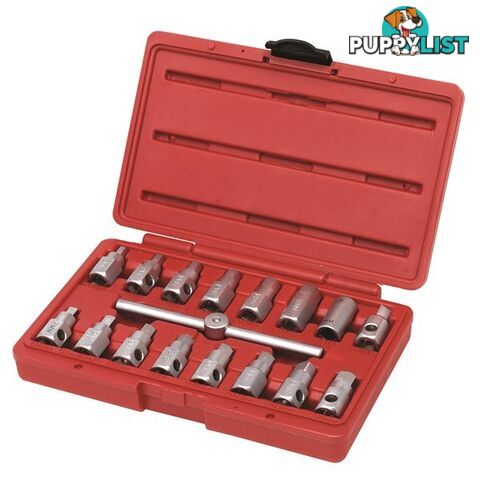 Toledo Oil Drain Plug Remover 17 pc Set SKU - 305003