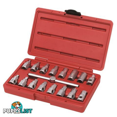 Toledo Oil Drain Plug Remover 17 pc Set SKU - 305003