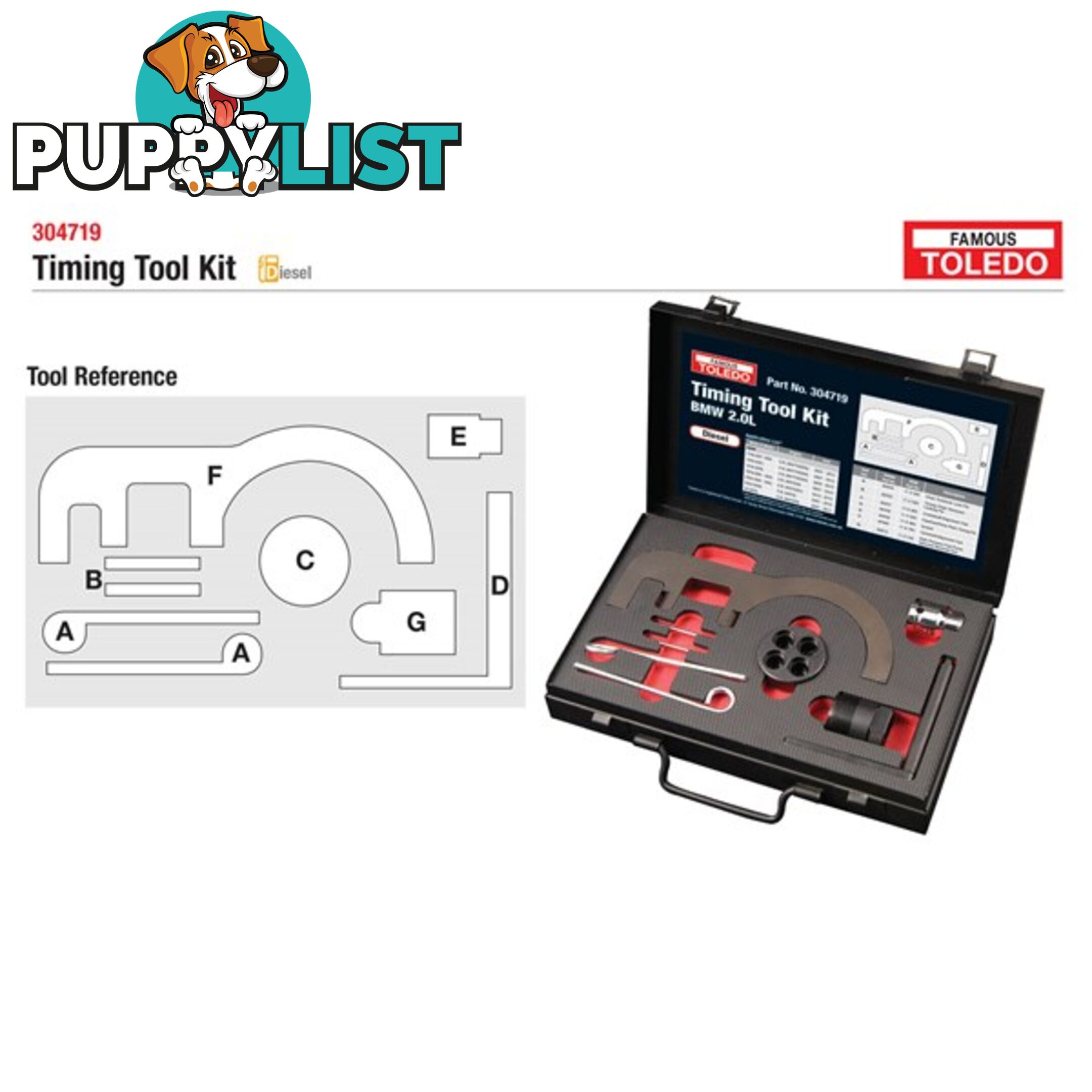 Toledo Timing Tool Kit  - BMW SKU - 304719