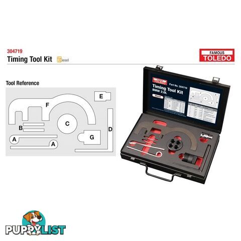 Toledo Timing Tool Kit  - BMW SKU - 304719