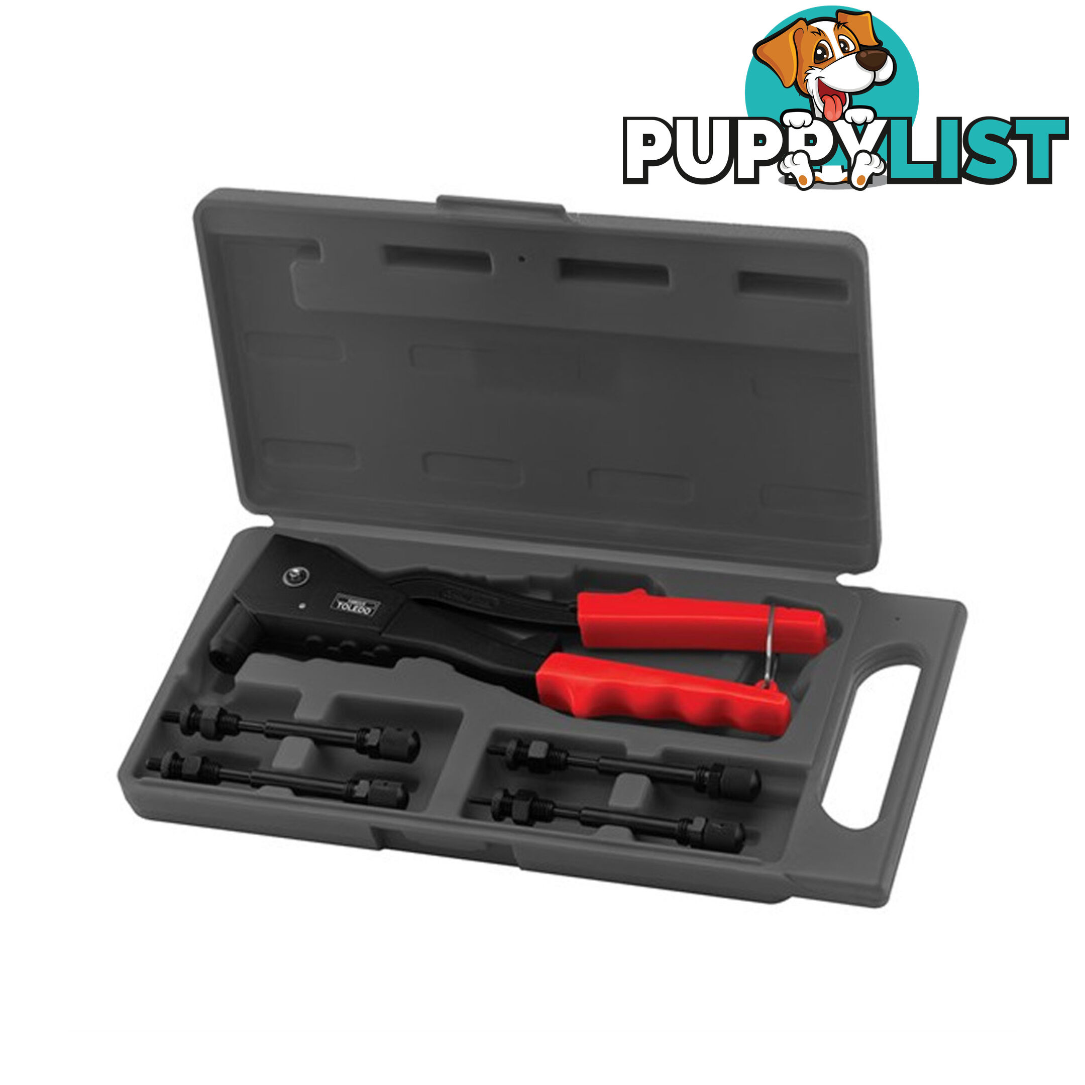 Toledo Nut Riveter Tool Kit 260mm M3, M4, M5,M6 SKU - 301798