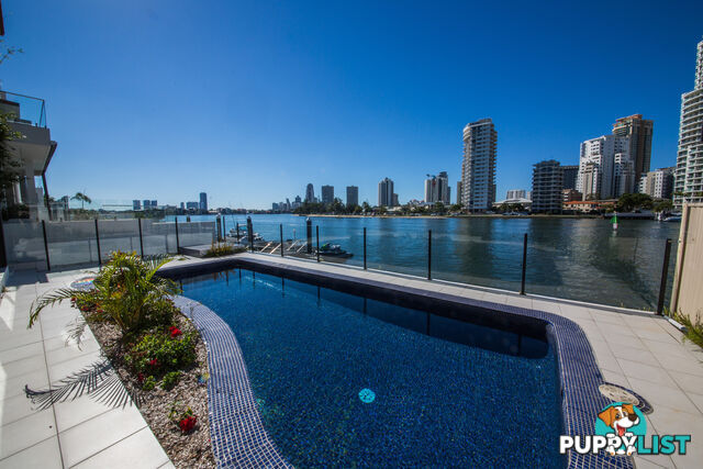 51 Stanhill Drive Surfers Paradise QLD 4217