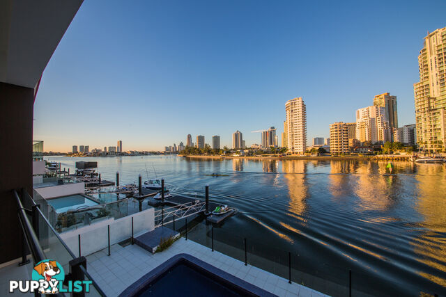 51 Stanhill Drive Surfers Paradise QLD 4217