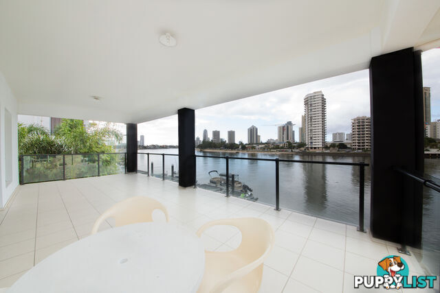 51 Stanhill Drive Surfers Paradise QLD 4217