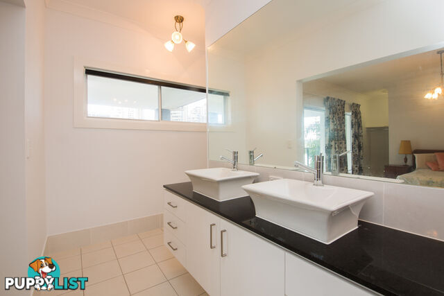 51 Stanhill Drive Surfers Paradise QLD 4217