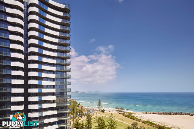 Sanbano 60 Marine Parade Coolangatta QLD 4225