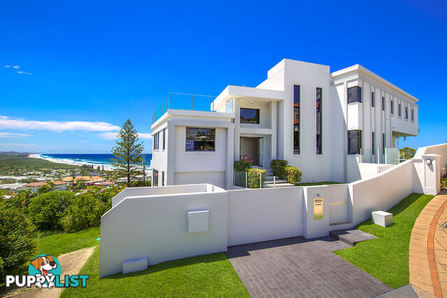 31 Pacific Heights Court Coolum Beach QLD 4573