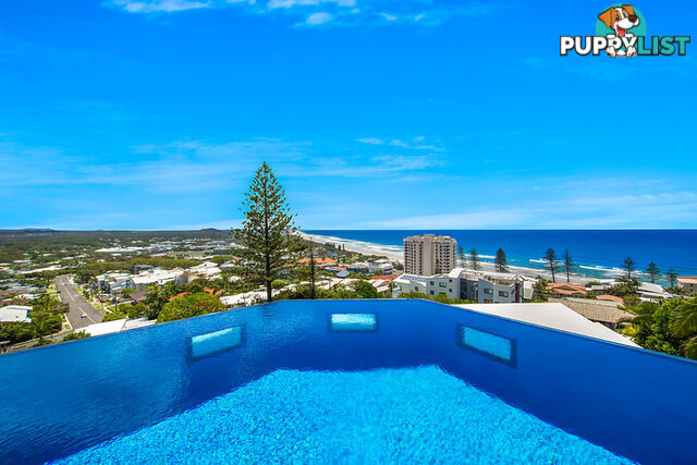 31 Pacific Heights Court Coolum Beach QLD 4573