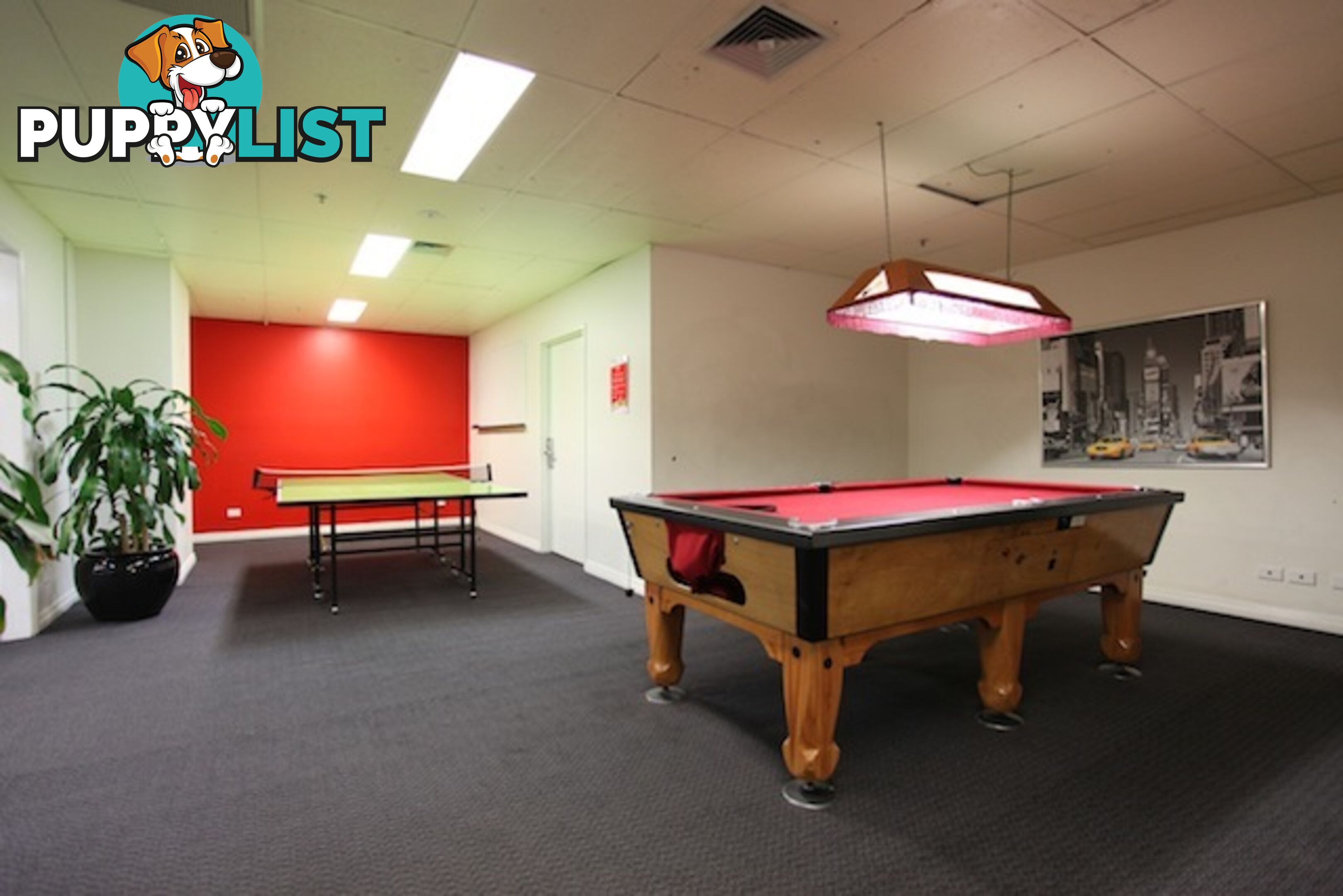 417/339 Swanston Street MELBOURNE VIC 3000