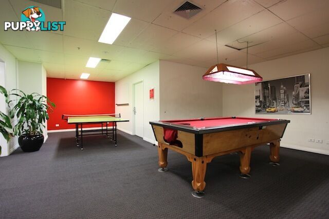 417/339 Swanston Street MELBOURNE VIC 3000