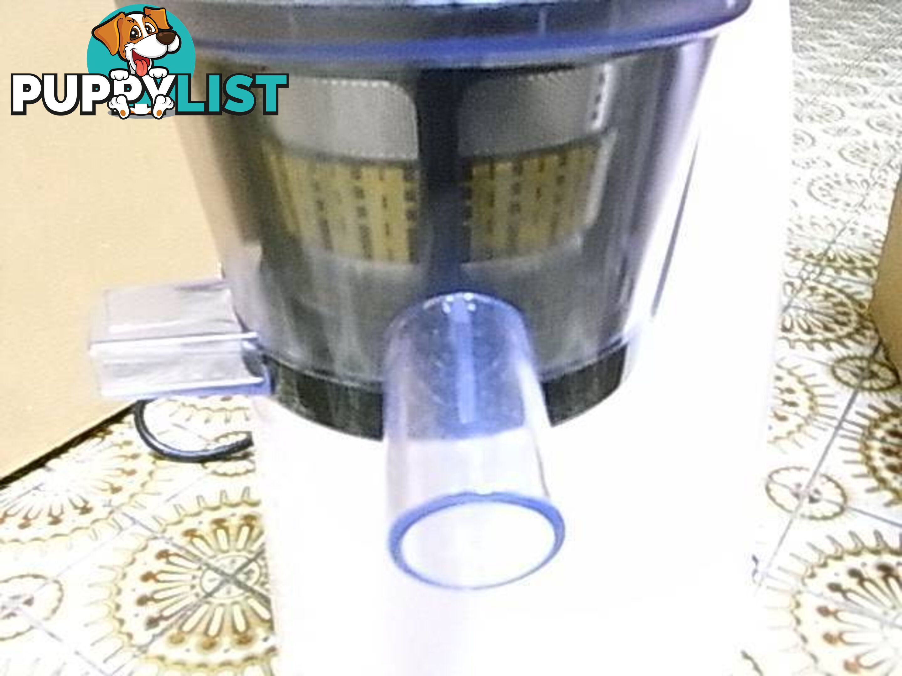 Cold Press Juicer Slow Juicer Premium Brand: Bellini near new c