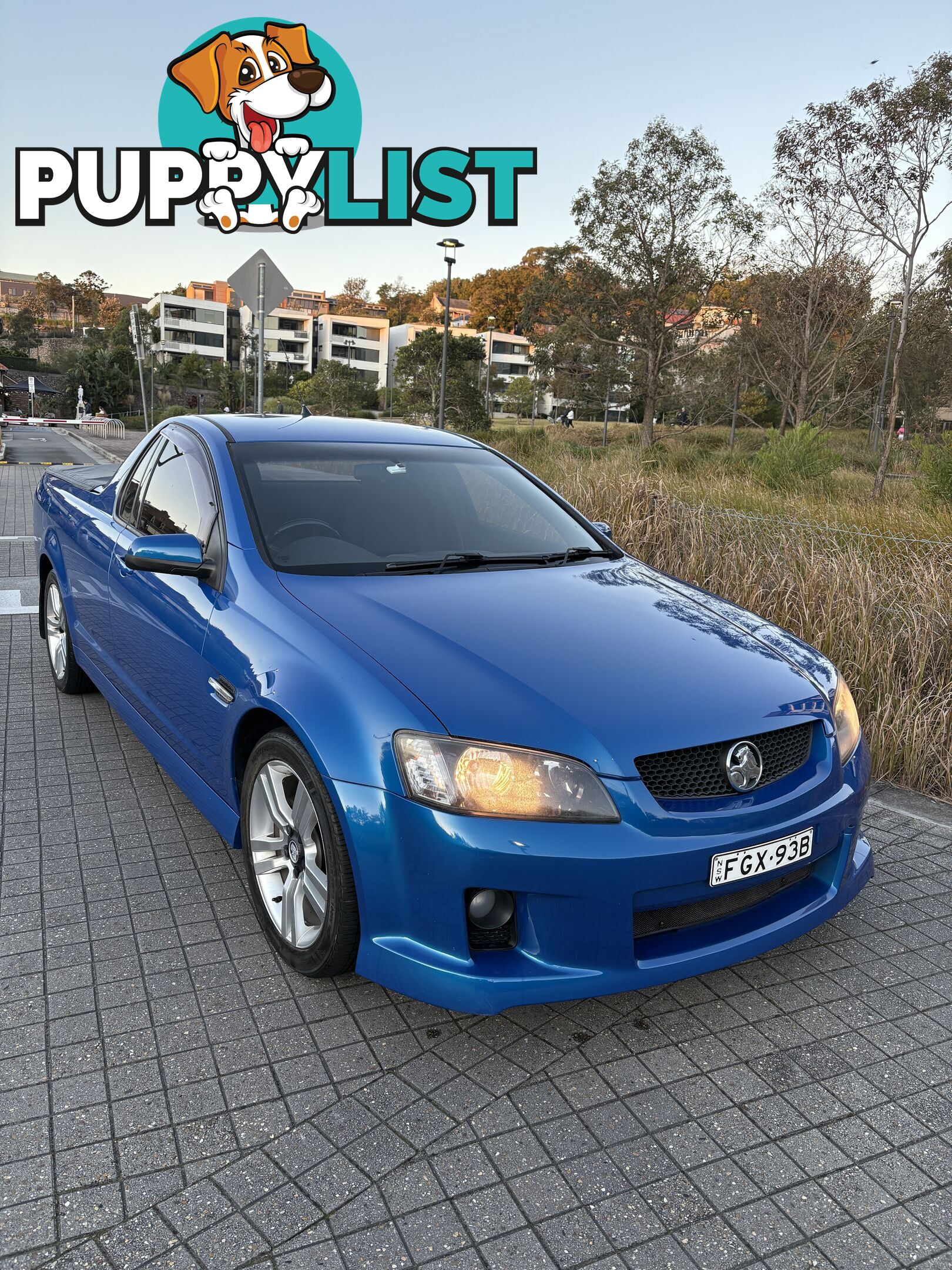 2009 Holden Ute SV6 Ute Automatic