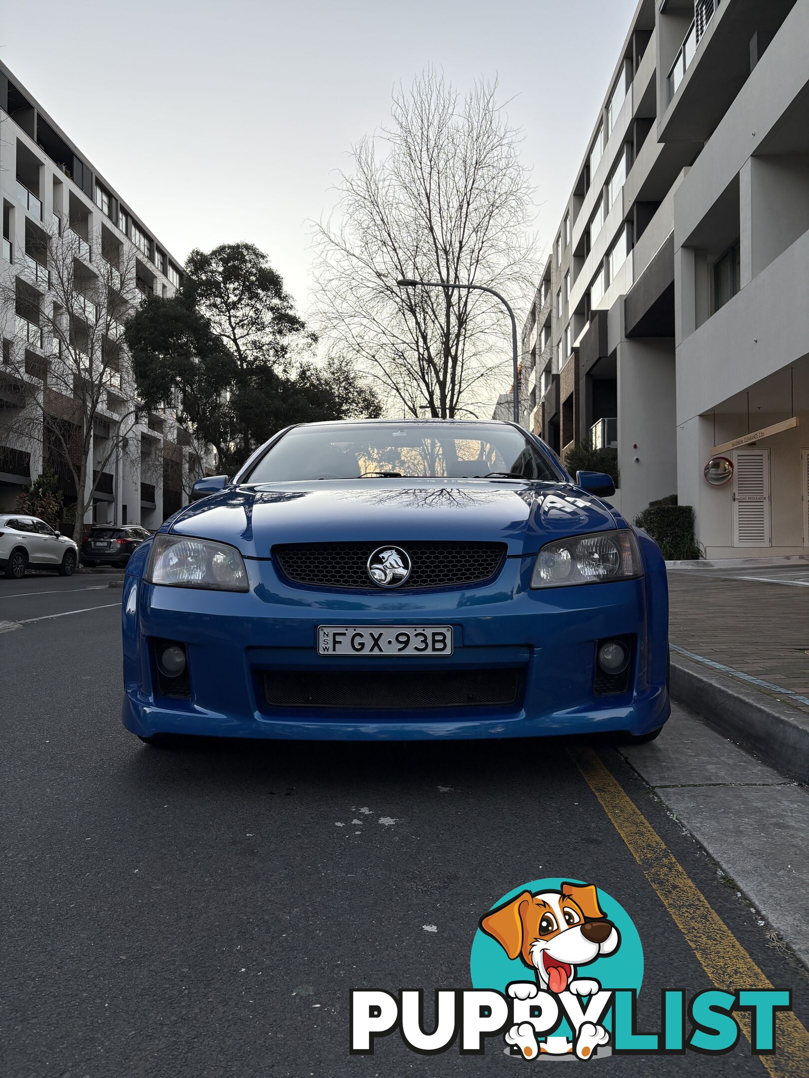 2009 Holden Ute SV6 Ute Automatic
