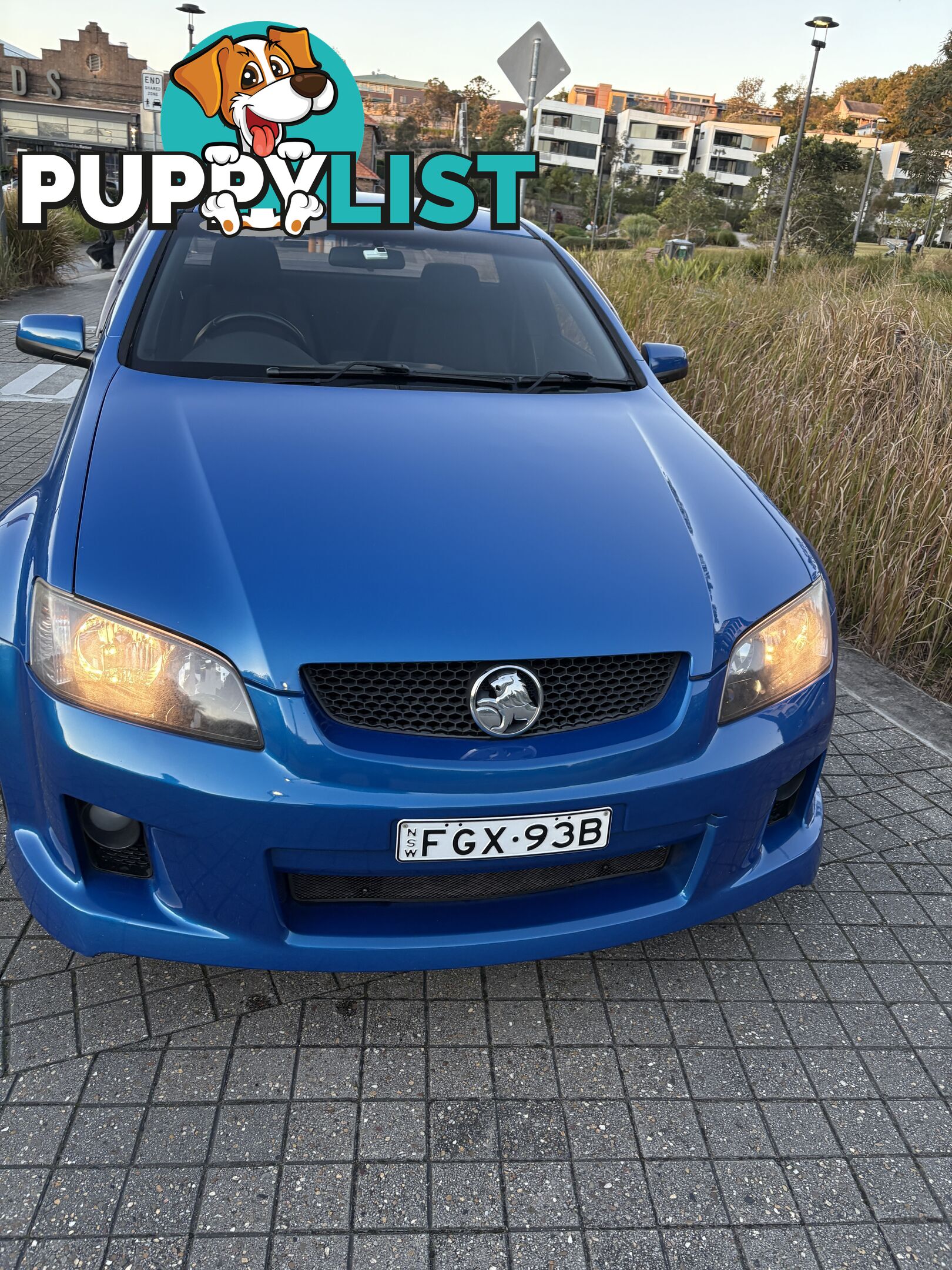 2009 Holden Ute SV6 Ute Automatic