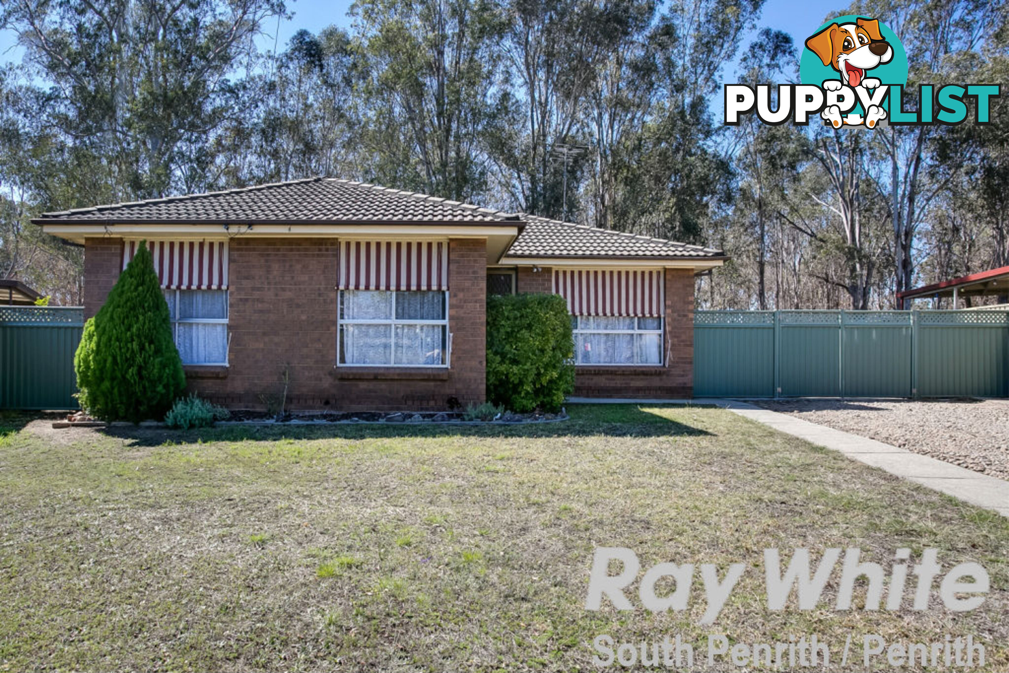 39 Tent Street KINGSWOOD NSW 2747