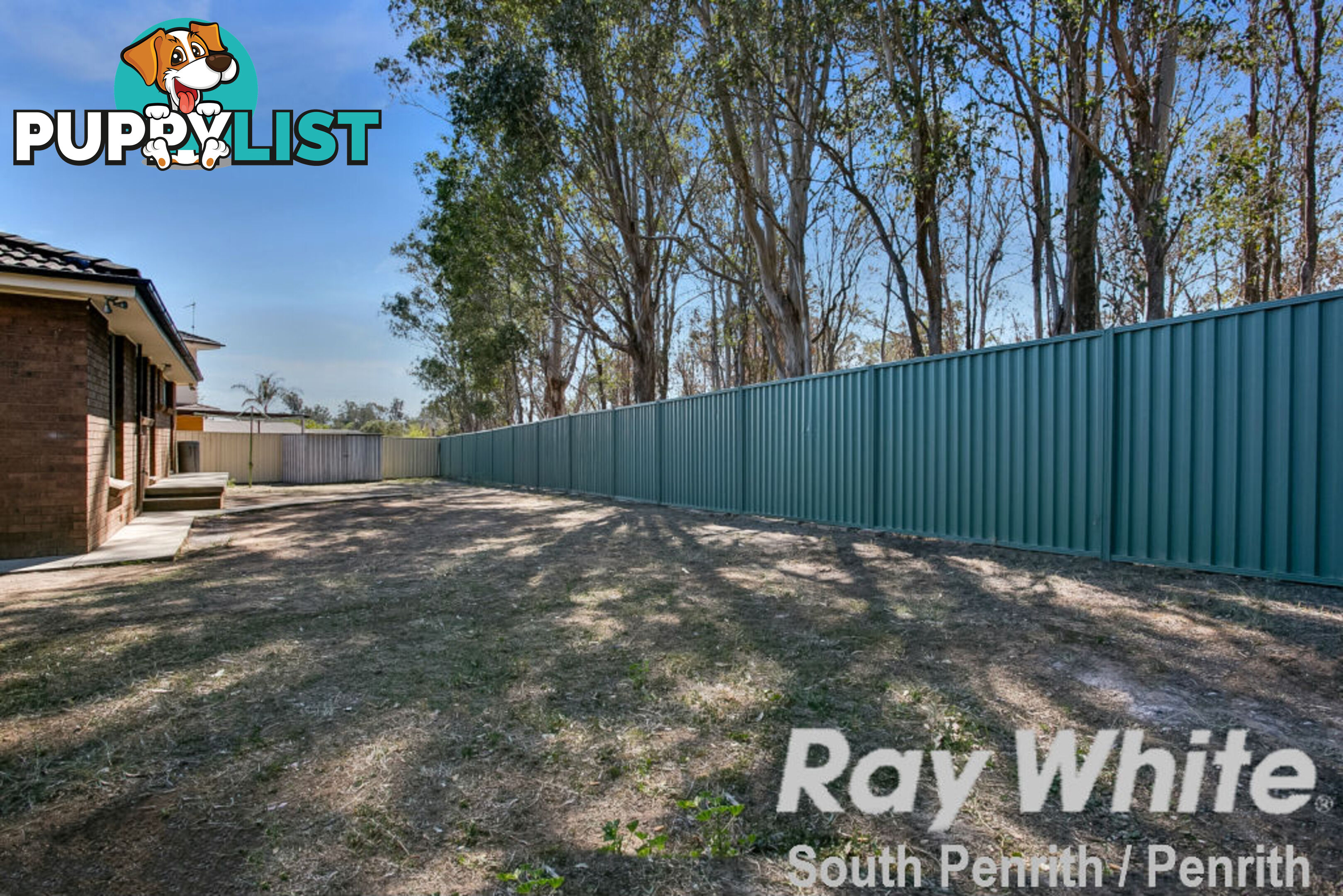 39 Tent Street KINGSWOOD NSW 2747