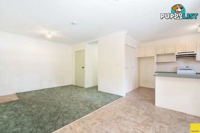 3/29-31 First Street KINGSWOOD NSW 2747