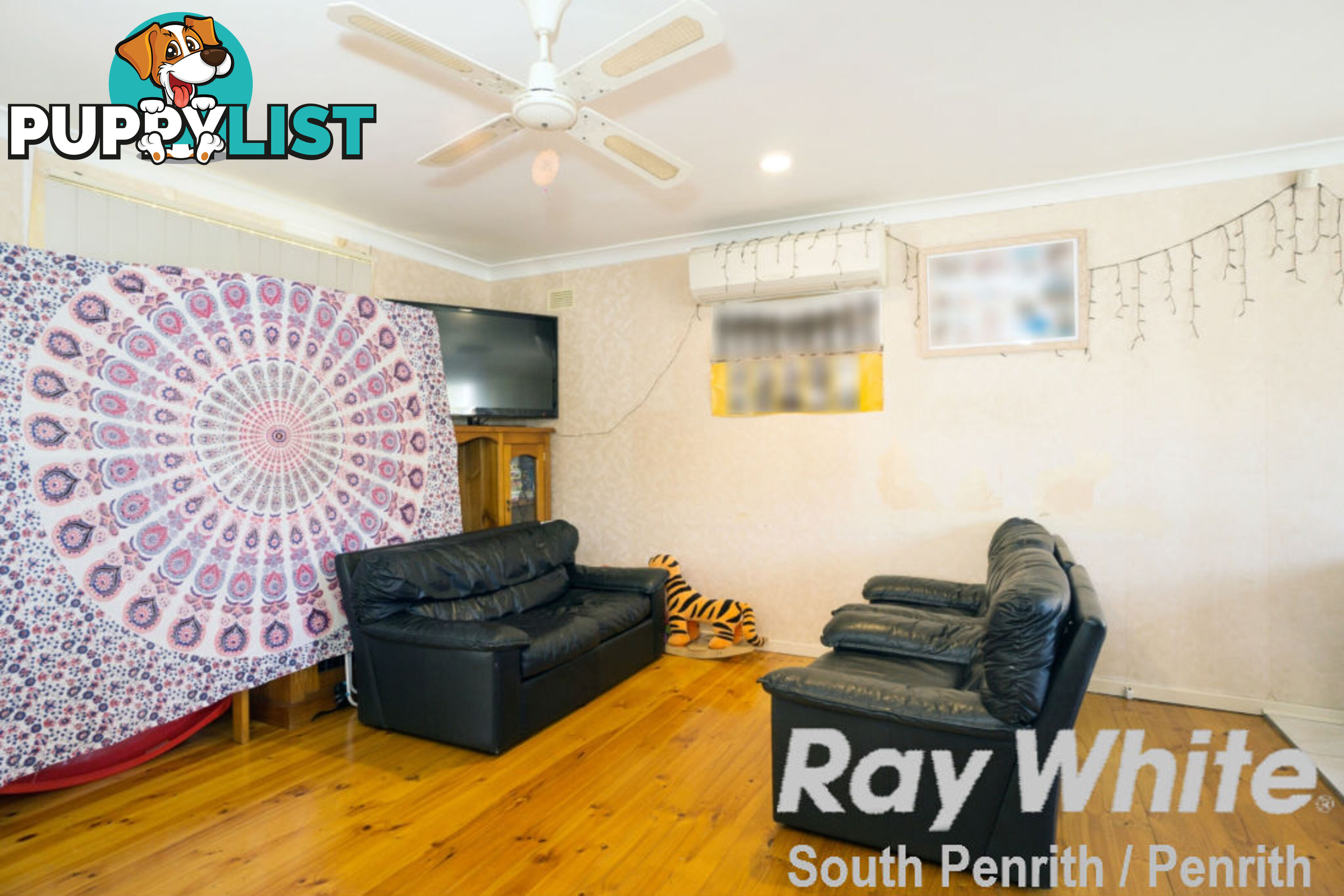 3 Roebuck Crescent WILLMOT NSW 2770