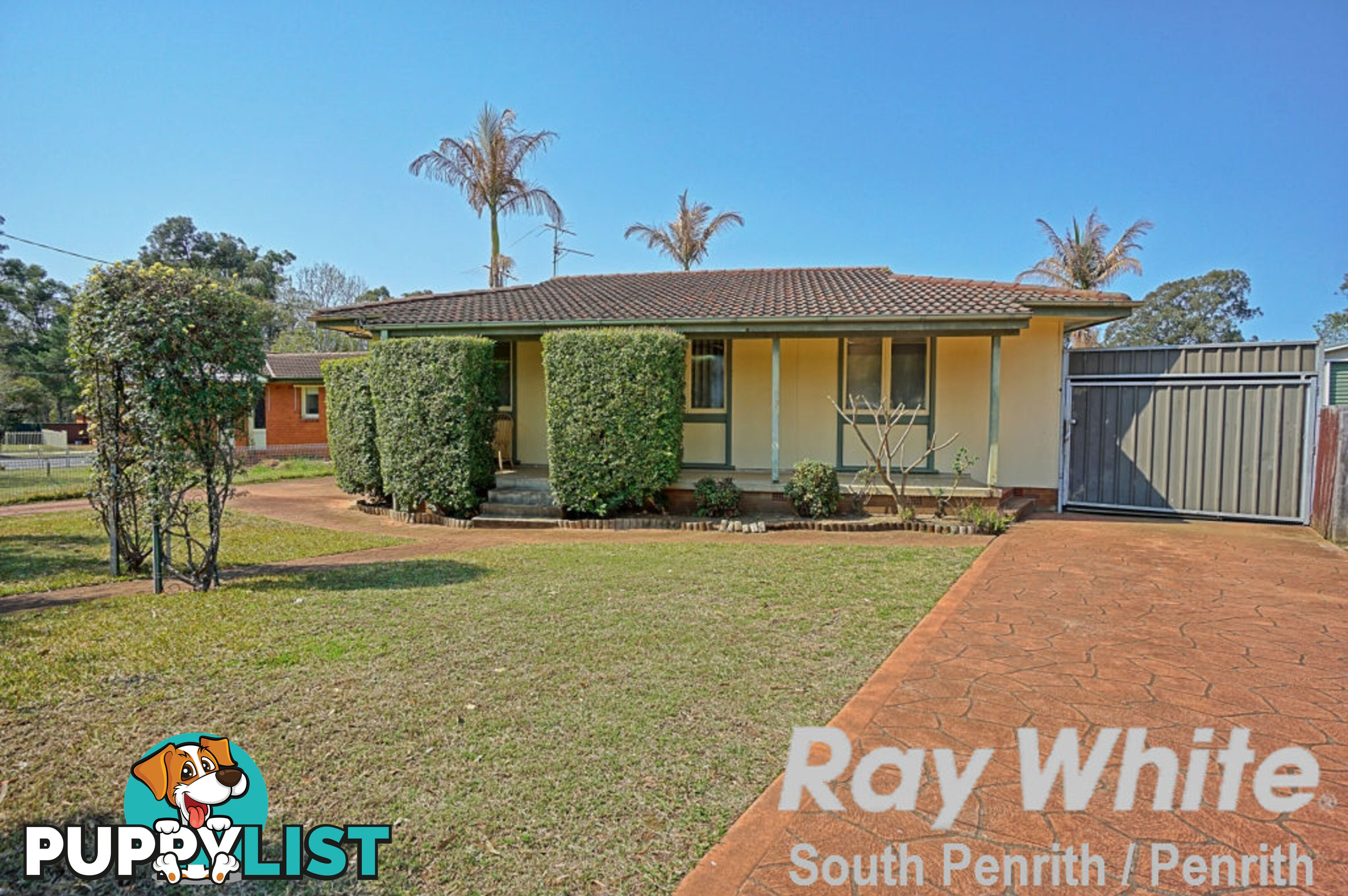 3 Roebuck Crescent WILLMOT NSW 2770