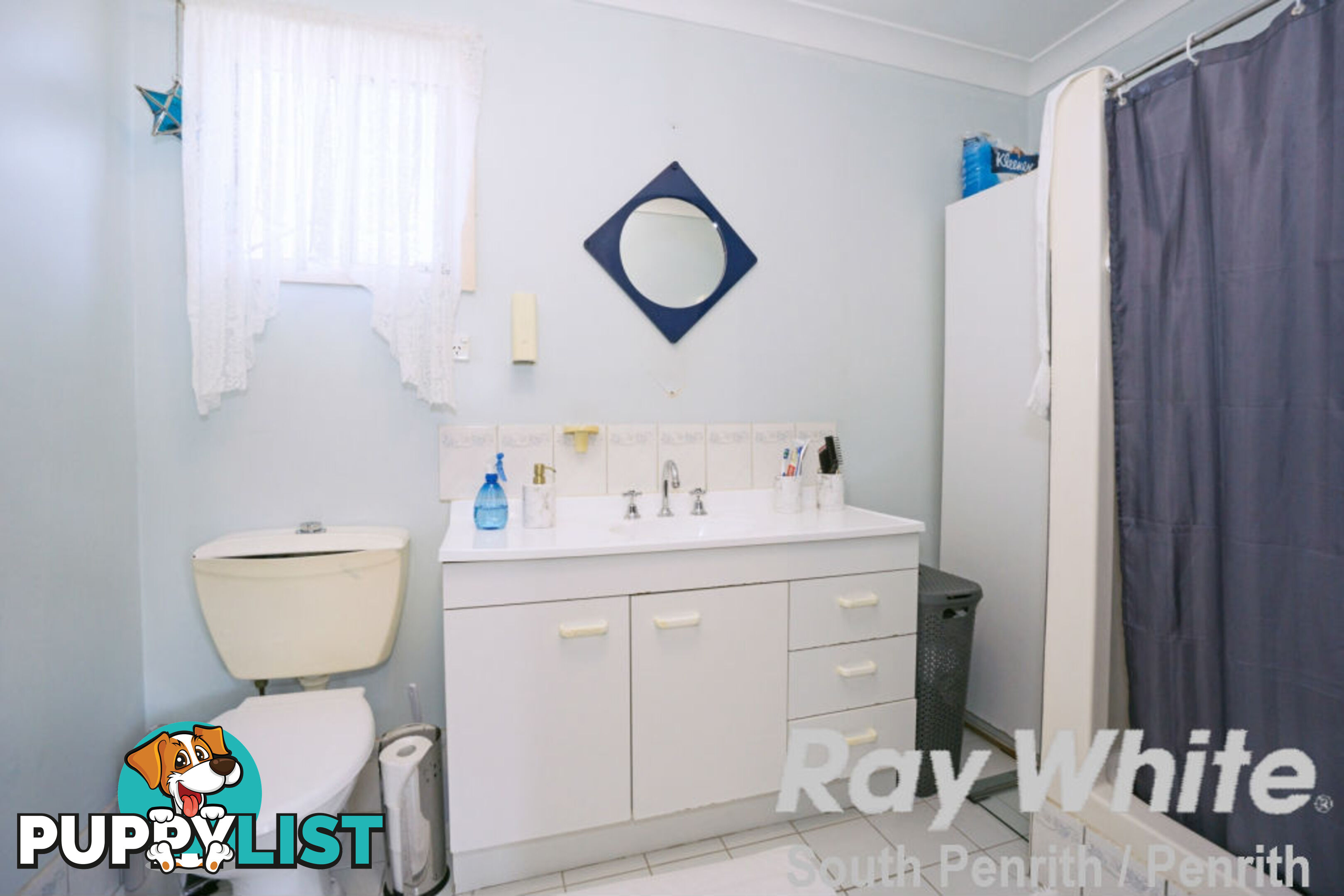 3 Roebuck Crescent WILLMOT NSW 2770