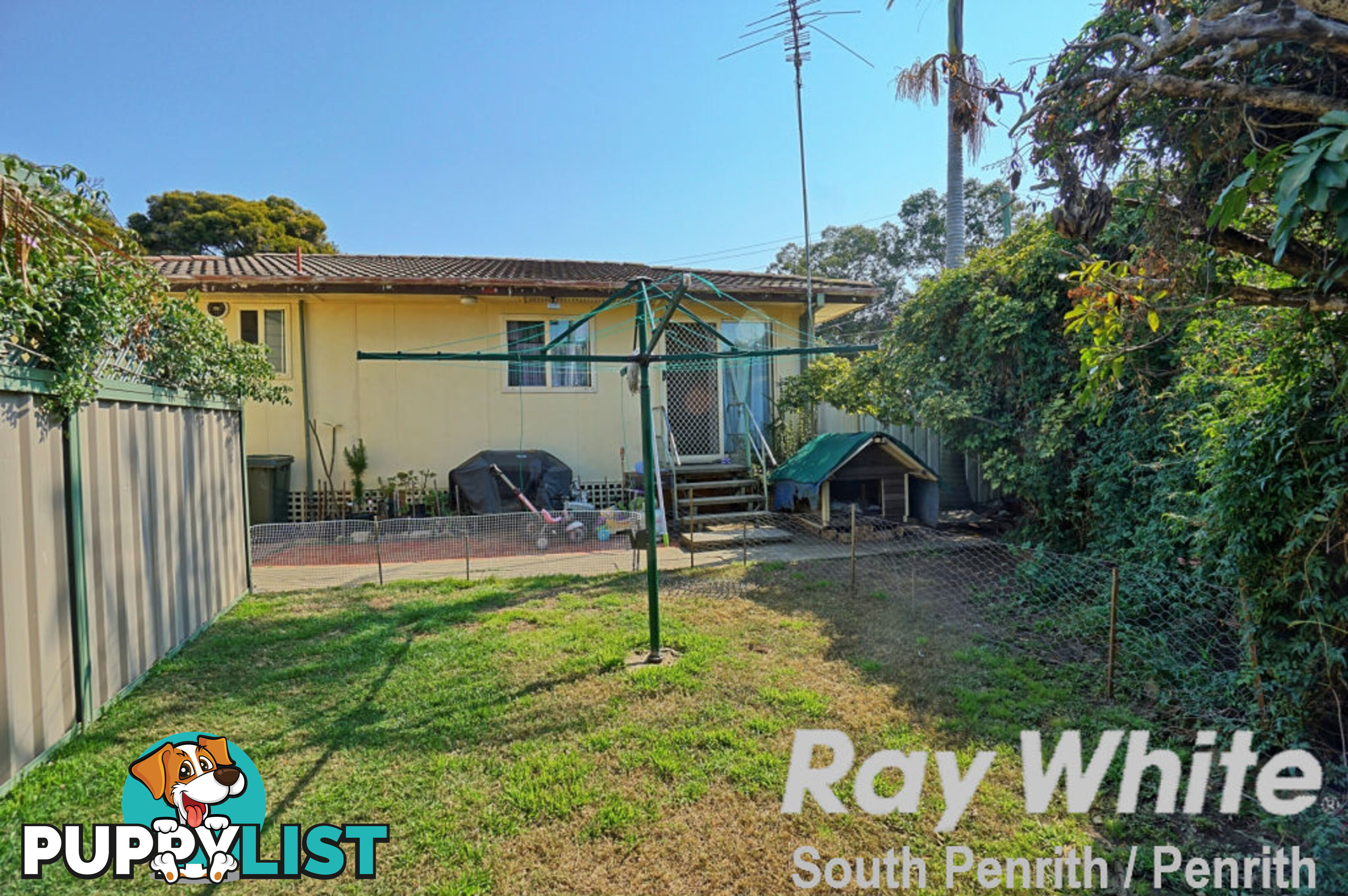 3 Roebuck Crescent WILLMOT NSW 2770