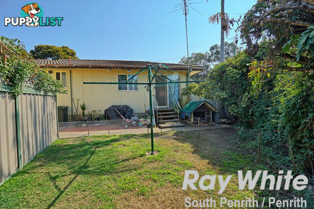 3 Roebuck Crescent WILLMOT NSW 2770