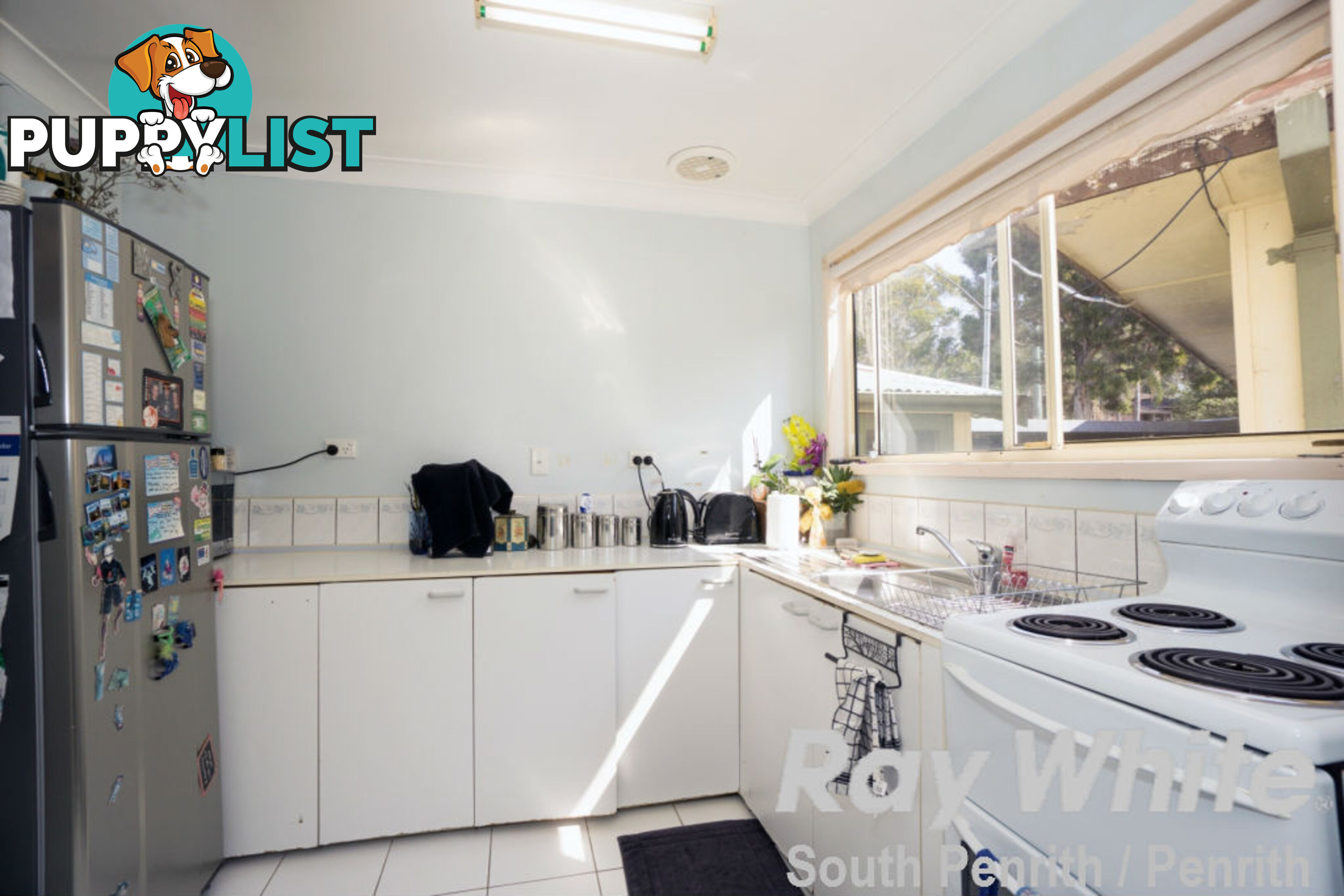 3 Roebuck Crescent WILLMOT NSW 2770