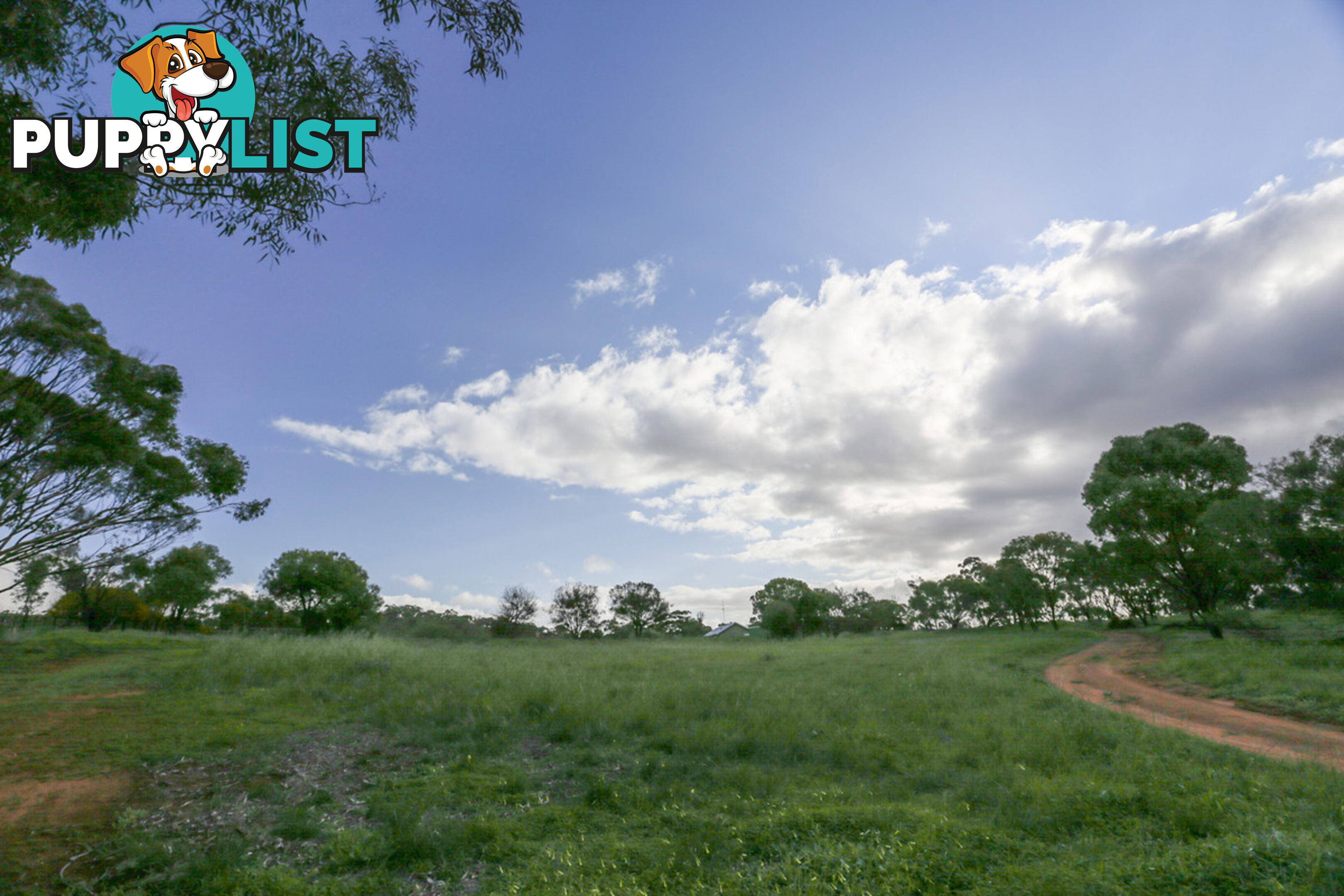 138 Church Gully Road Toodyay WA 6566