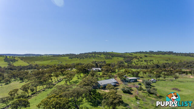 138 Church Gully Road Toodyay WA 6566