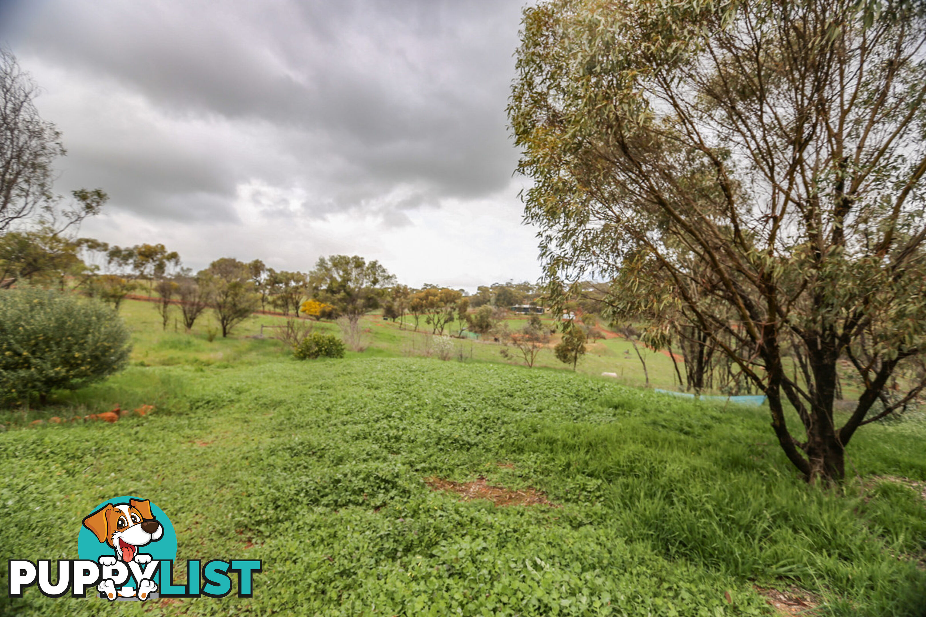 138 Church Gully Road Toodyay WA 6566