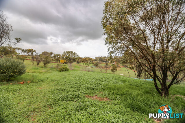 138 Church Gully Road Toodyay WA 6566