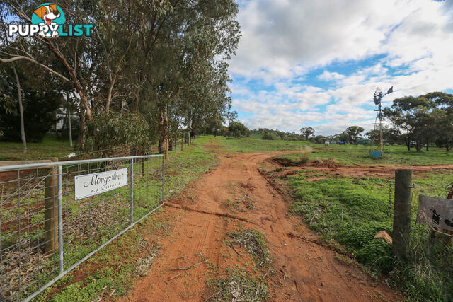 138 Church Gully Road Toodyay WA 6566