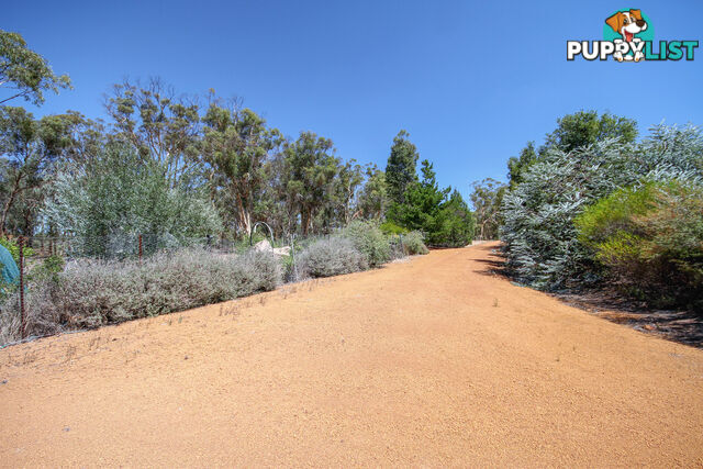 1031 Coondle West Road TOODYAY WA 6566