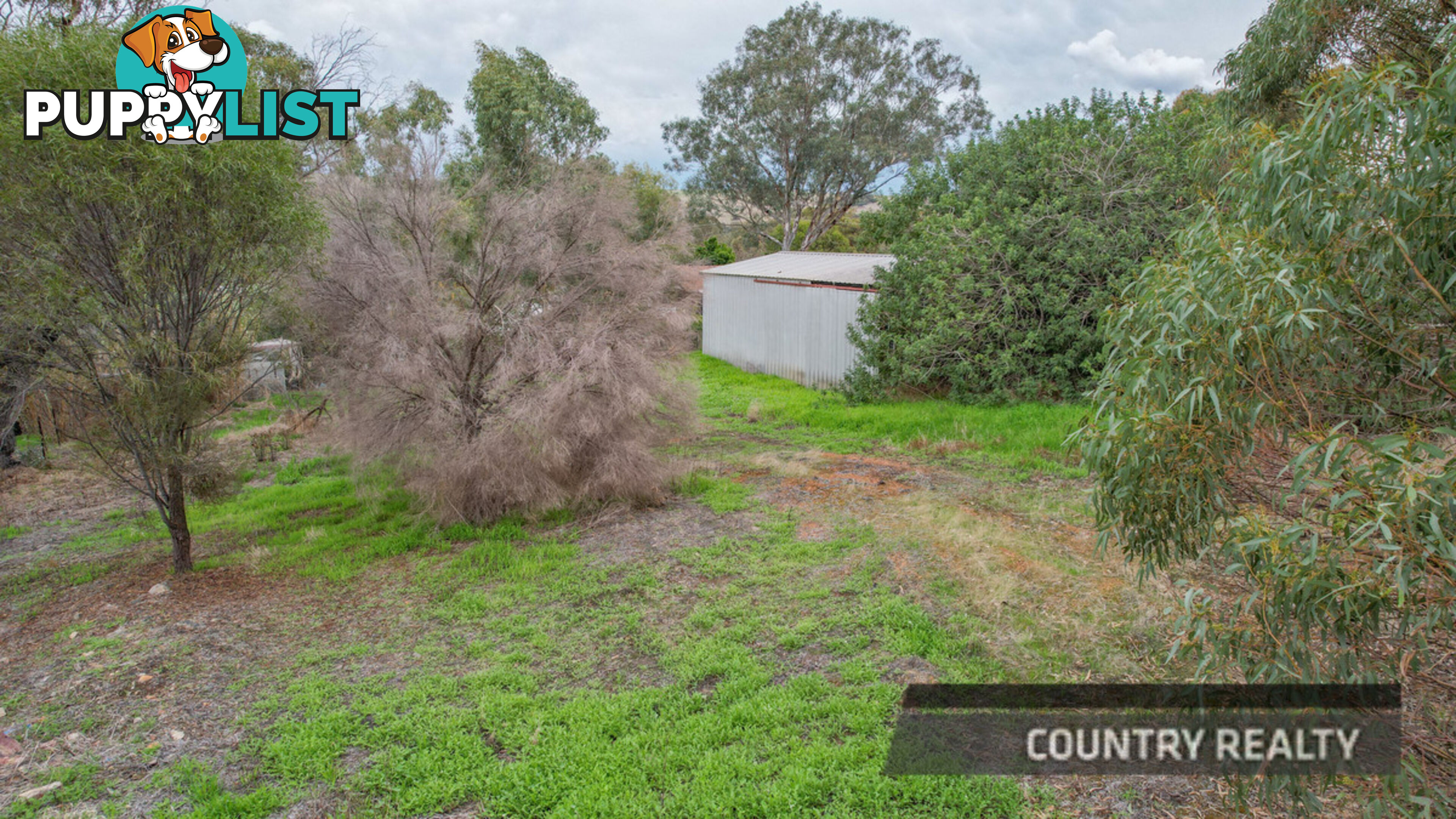 7 Wilson Street Toodyay WA 6566